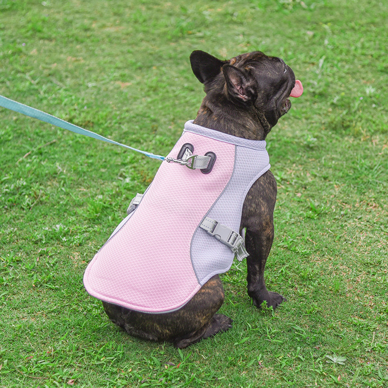 Cooling Harness Vest for Dogs