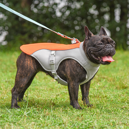 Cooling Harness Vest for Dogs