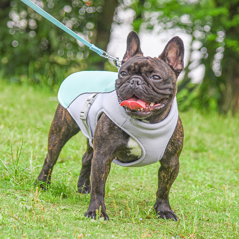 Cooling Harness Vest for Dogs